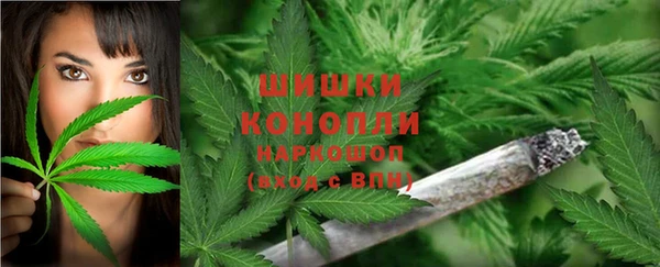 дживик Заводоуковск