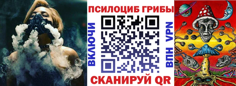 Купить закладки  Коркино  Псилоцибиновые грибы Psilocybine cubensis 
